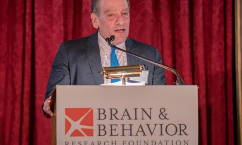 2016 Gala (Awards Dinner)