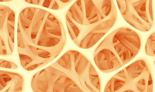 Microbes In Our Gut Can Affect Our Emotions