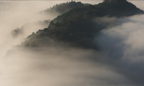 A Quarter-Century of Groundbreaking Discoveries about the Brain’s Plasticity