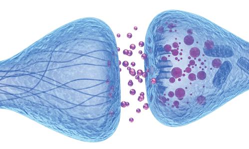 Patterns in Brain Network Activity Reveal Distinct Biological Subtypes of Depression
