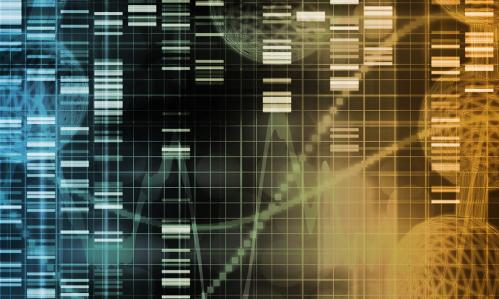 Behavioral Changes in Cocaine Addiction Are Linked to Altered Patterns of Gene Activity in the Striatum