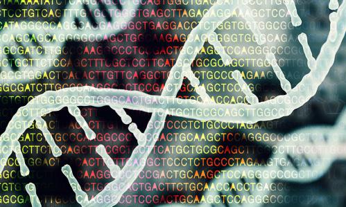 Large Genome Study Finds a ‘General Addiction Risk Factor’ Commonly Inherited Across Multiple Substance-Use Disorders
