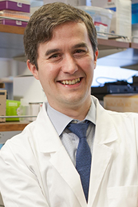 Conor Liston, M.D., Ph.D. - Brain & Behavior Research expert on schizophrenia