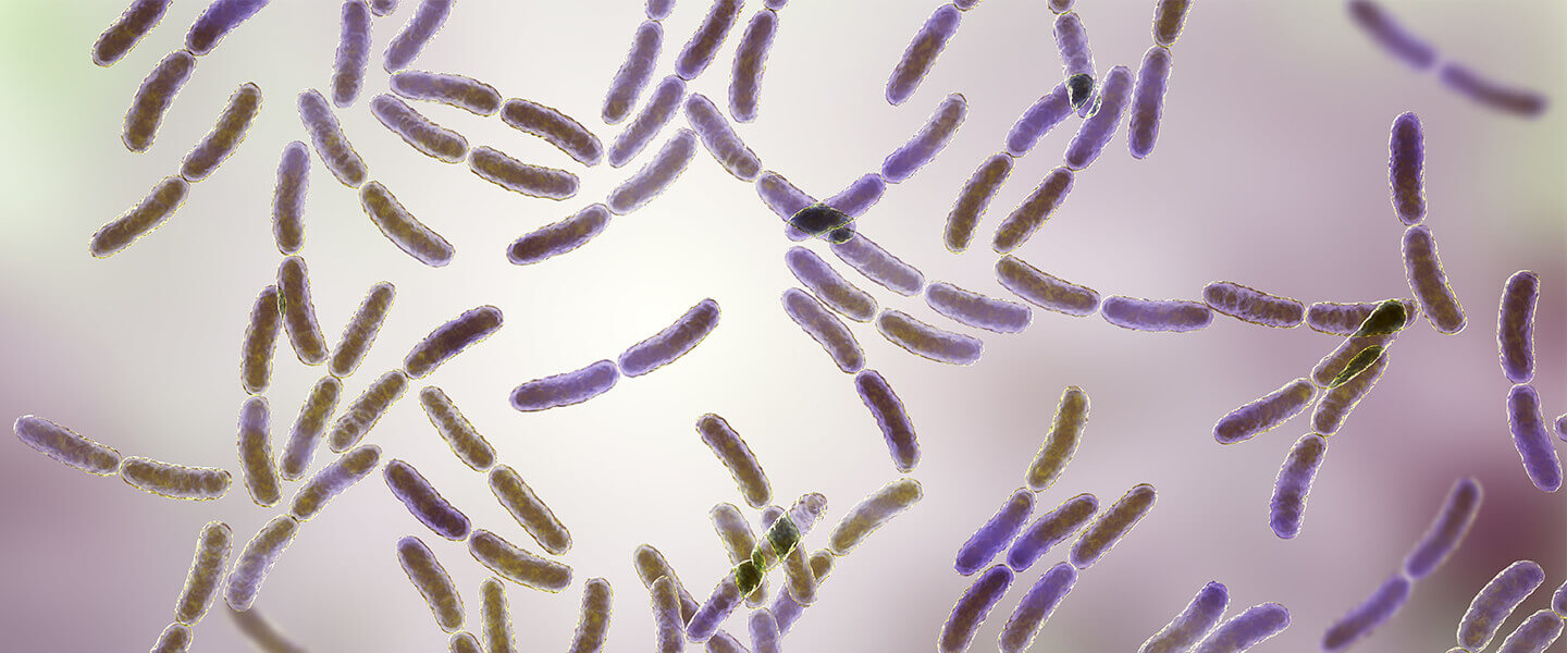 In Mice, and Perhaps People, Gut Organisms Impact the Ability to Extinguish Fear
