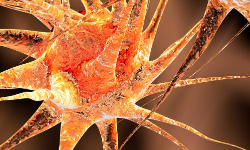 Creative image of brain neurons