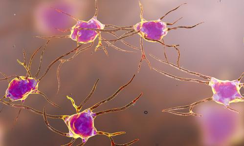 Activating Specific Serotonin Neurons Reduced Anxiety and Promoted Sleep in Mice