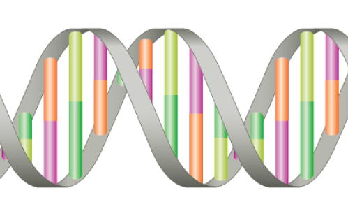 The First Robust Genetic Markers for ADHD Are Reported