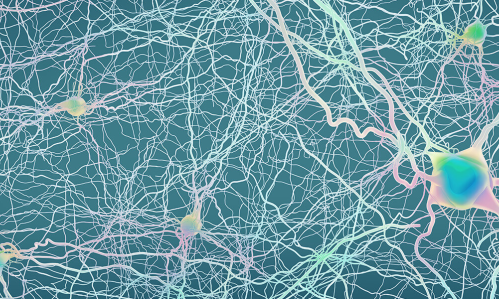 A 'Common Causal Circuit' in Depression with Possible Therapeutic Implications