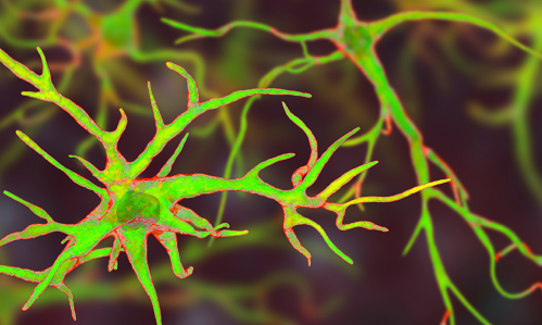 New Insights About Epilepsy Mechanism Suggest a Potential Treatment Target